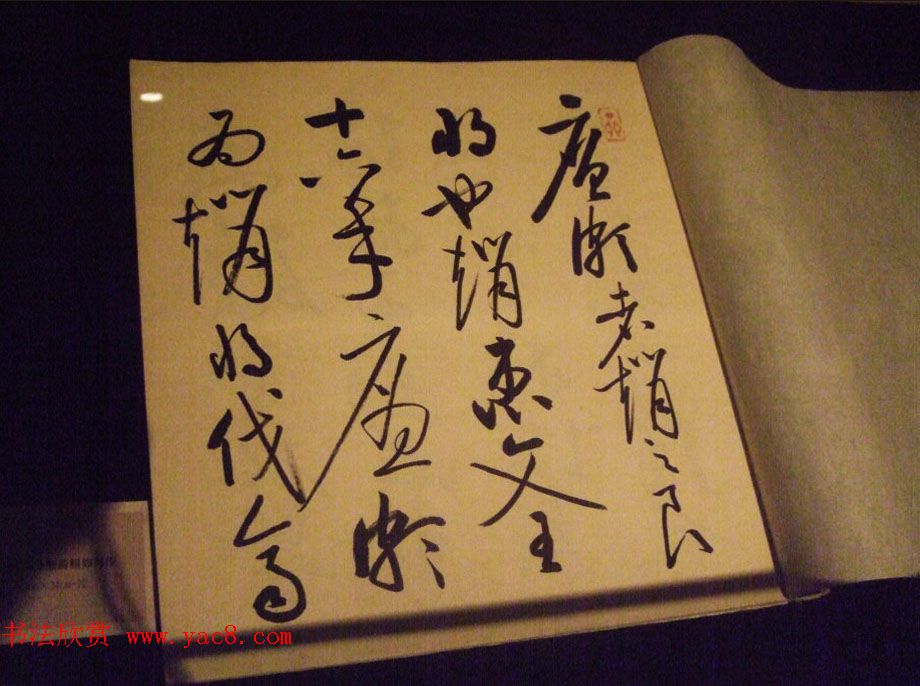 逸笔遗珍--启功艺术回顾展精选书法图片欣赏