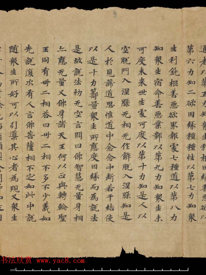 敦煌书法欣赏《摩诃衍经卷第八十八》残卷