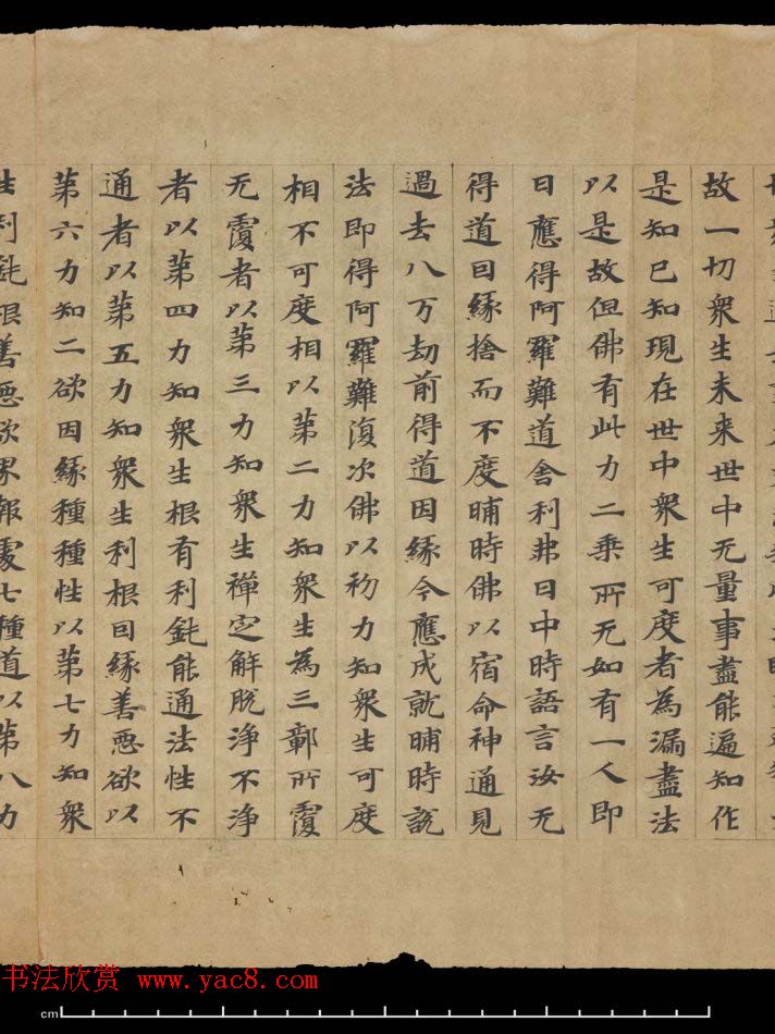 敦煌书法欣赏《摩诃衍经卷第八十八》残卷