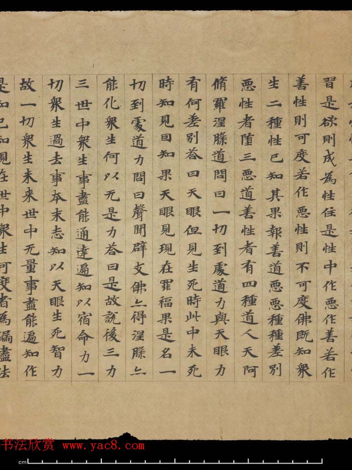 敦煌书法欣赏《摩诃衍经卷第八十八》残卷