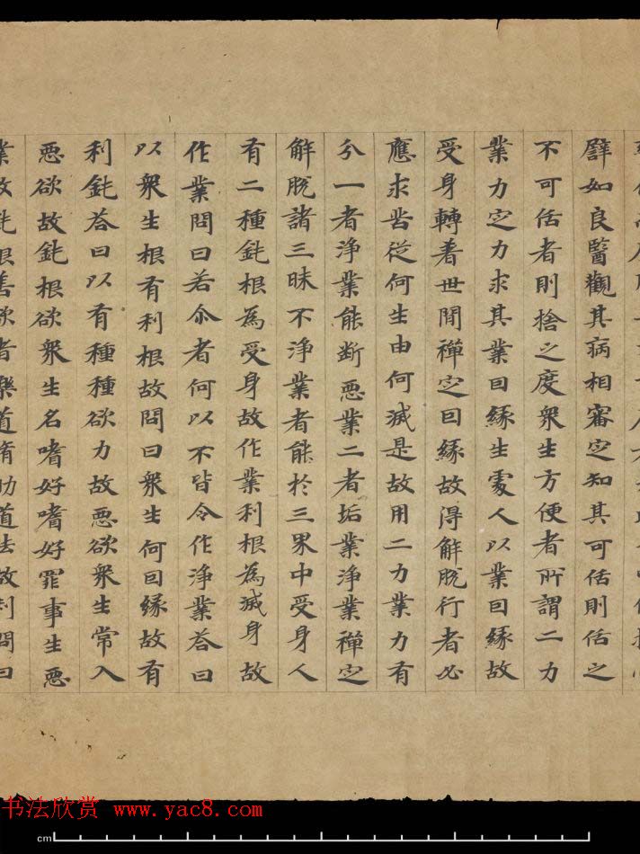 敦煌书法欣赏《摩诃衍经卷第八十八》残卷