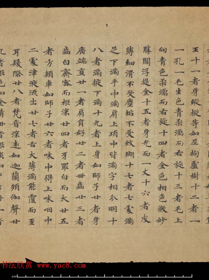 敦煌书法欣赏《摩诃衍经卷第八十八》残卷