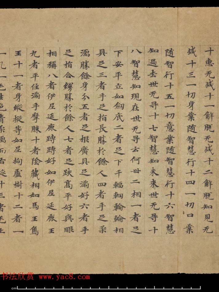 敦煌书法欣赏《摩诃衍经卷第八十八》残卷