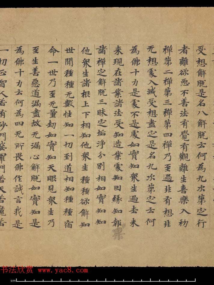 敦煌书法欣赏《摩诃衍经卷第八十八》残卷