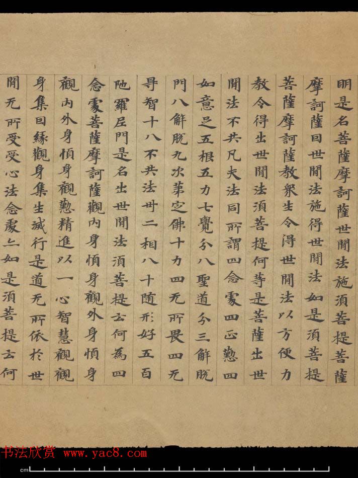 敦煌书法欣赏《摩诃衍经卷第八十八》残卷