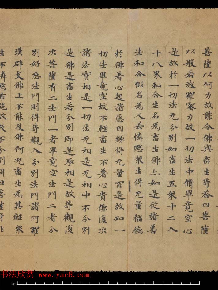 敦煌书法欣赏《摩诃衍经卷第八十八》残卷