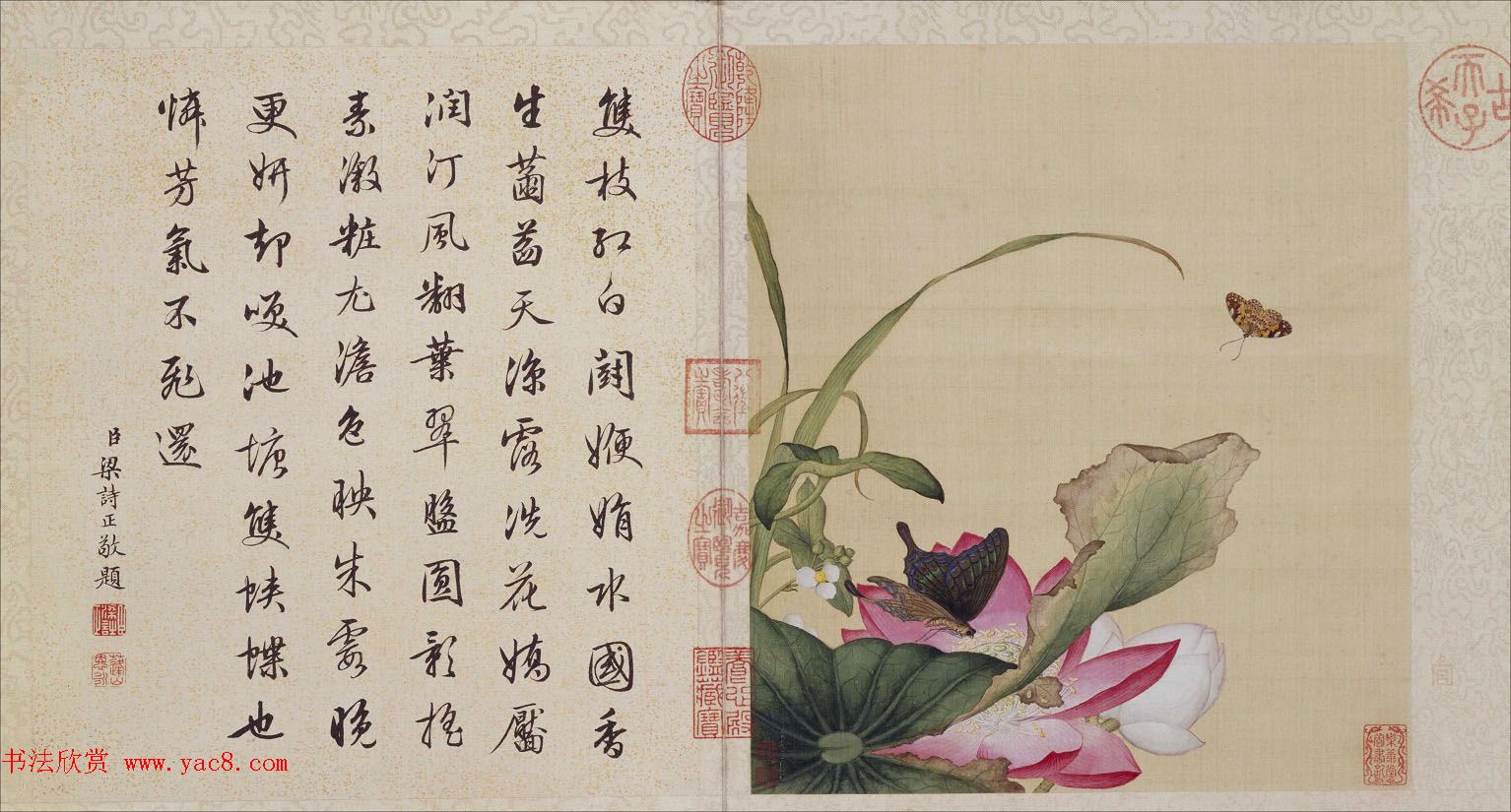 郎世宁工笔画欣赏《花鸟图册》梁诗正书法题诗