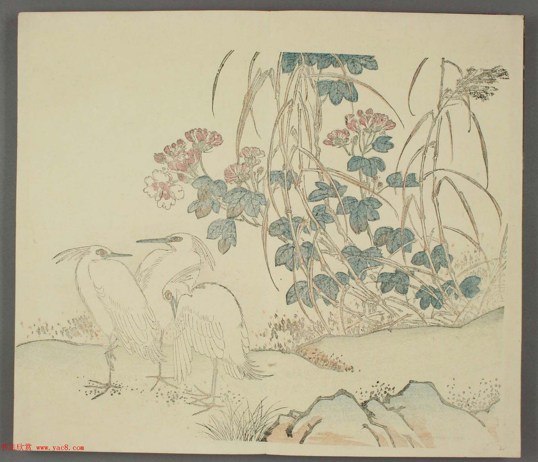 日本竹洞花鸟画欣赏《融斋画谱》