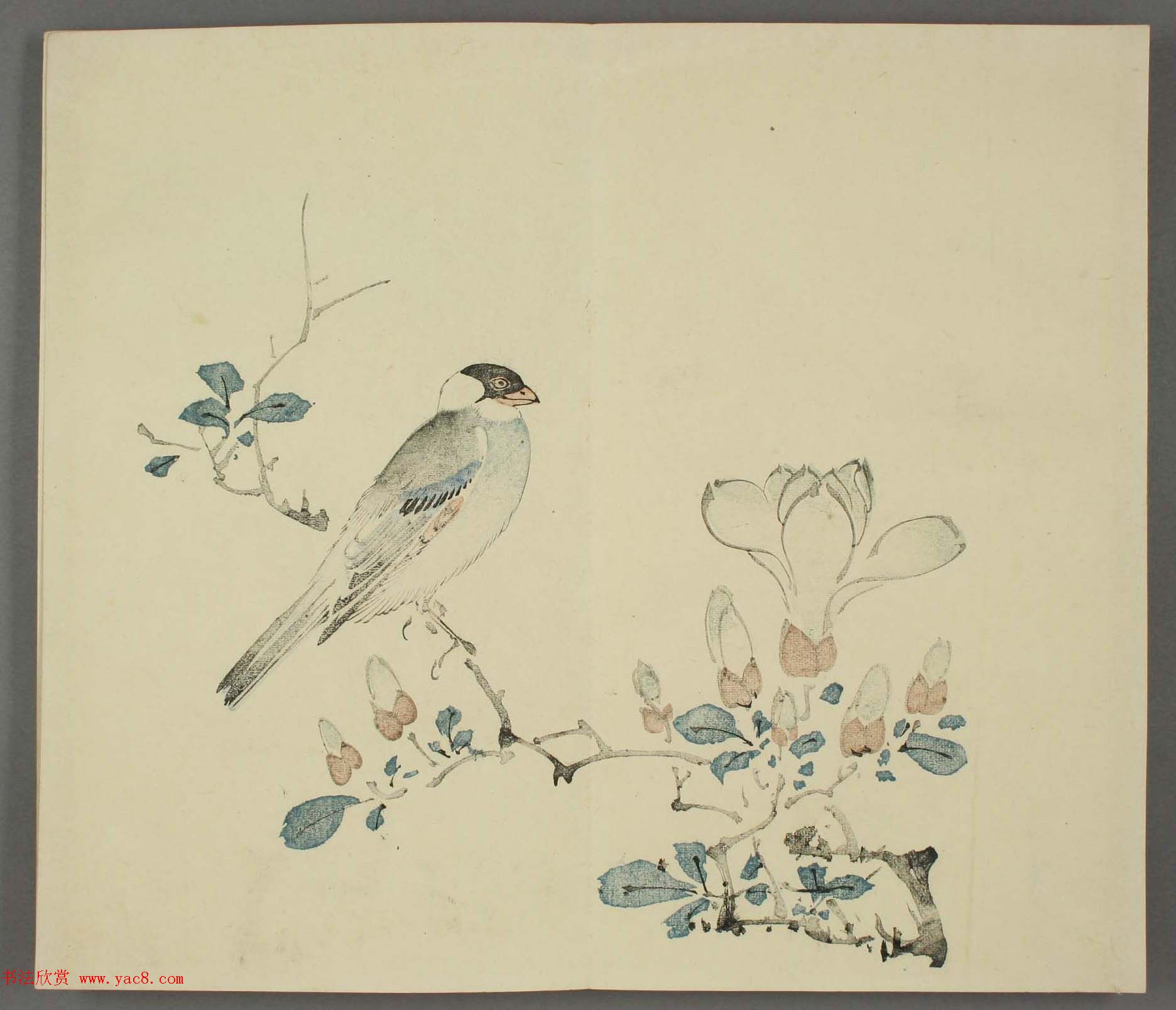 日本竹洞花鸟画欣赏《融斋画谱》