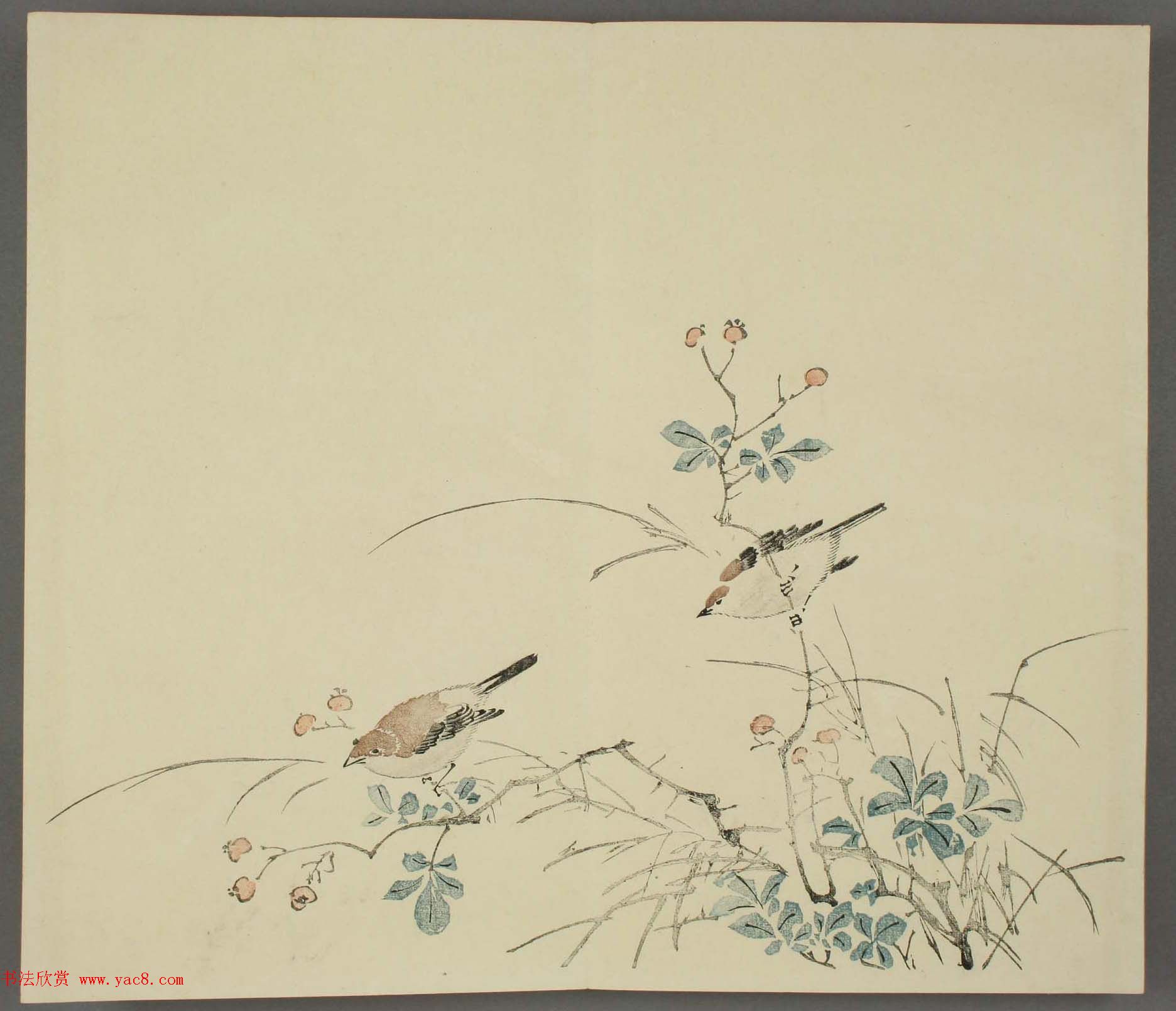 日本竹洞花鸟画欣赏《融斋画谱》