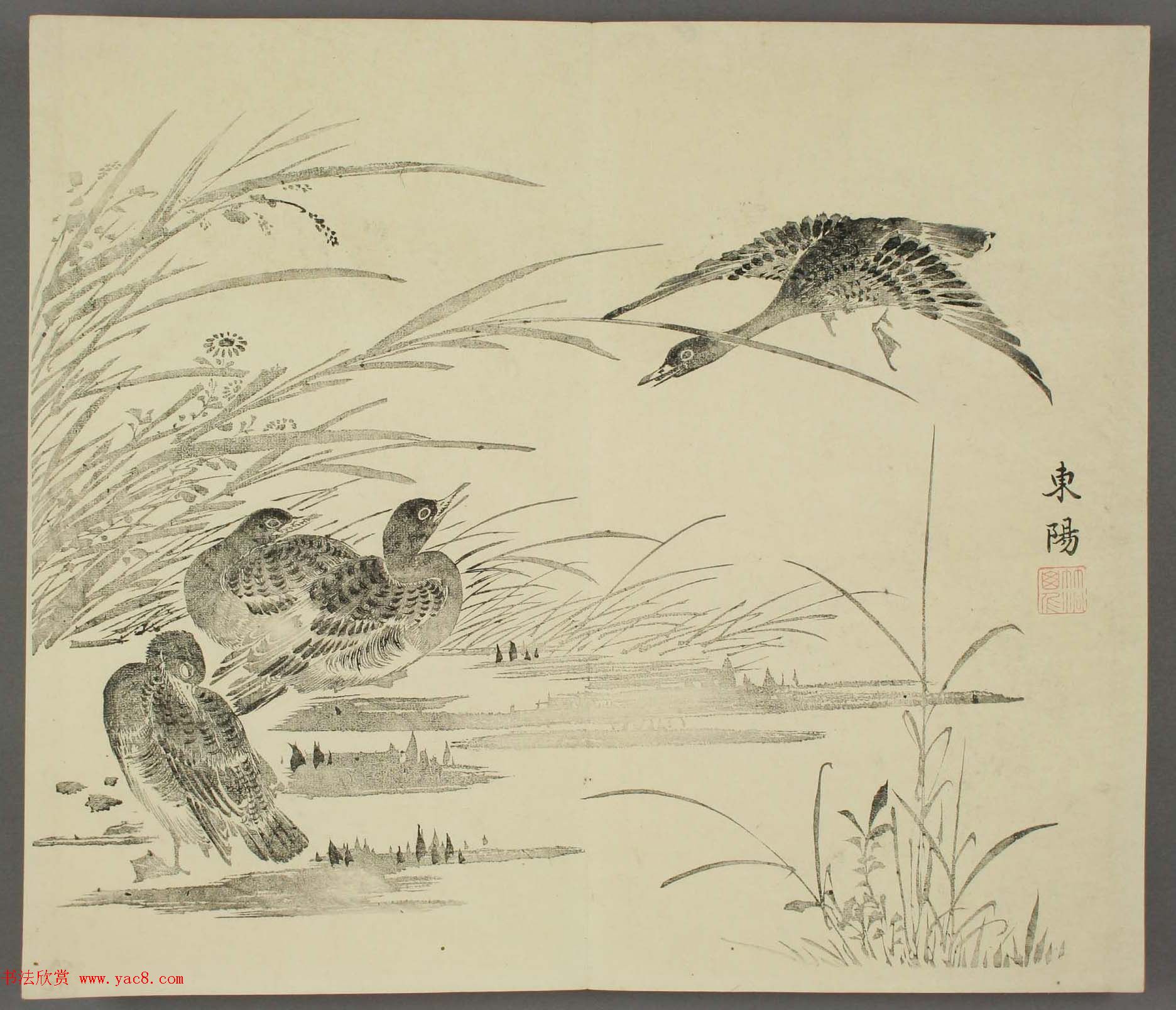 日本竹洞花鸟画欣赏《融斋画谱》