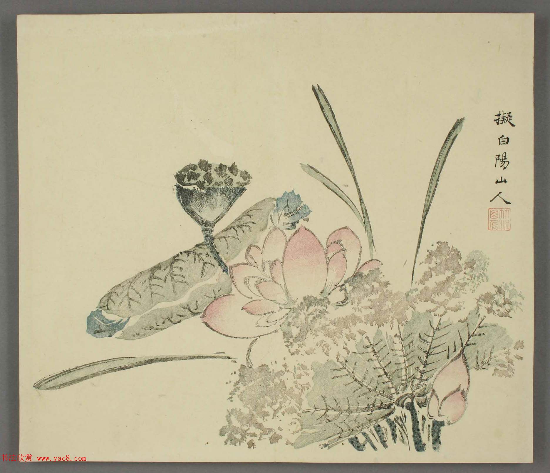 日本竹洞花鸟画欣赏《融斋画谱》