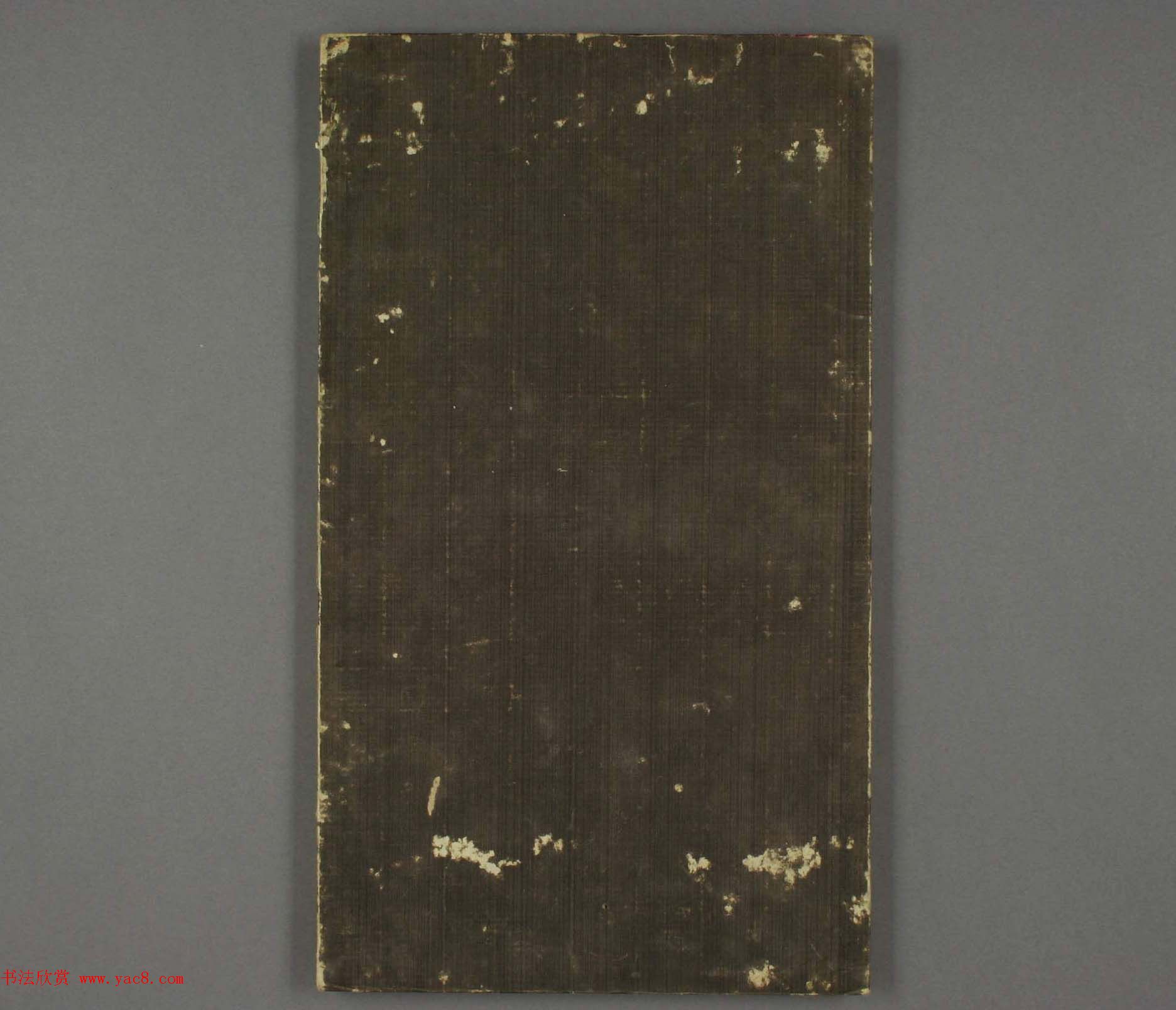 日本竹洞花鸟画欣赏《融斋画谱》