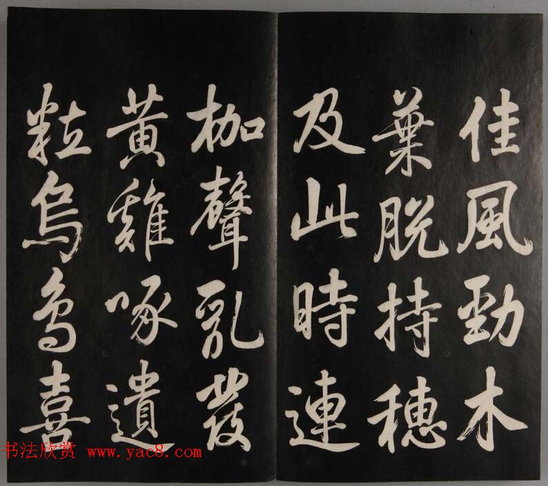 张照自书诗文欣赏《钦定天瓶斋法帖》十册 张照自书诗文欣赏《钦定天瓶斋法帖》十册