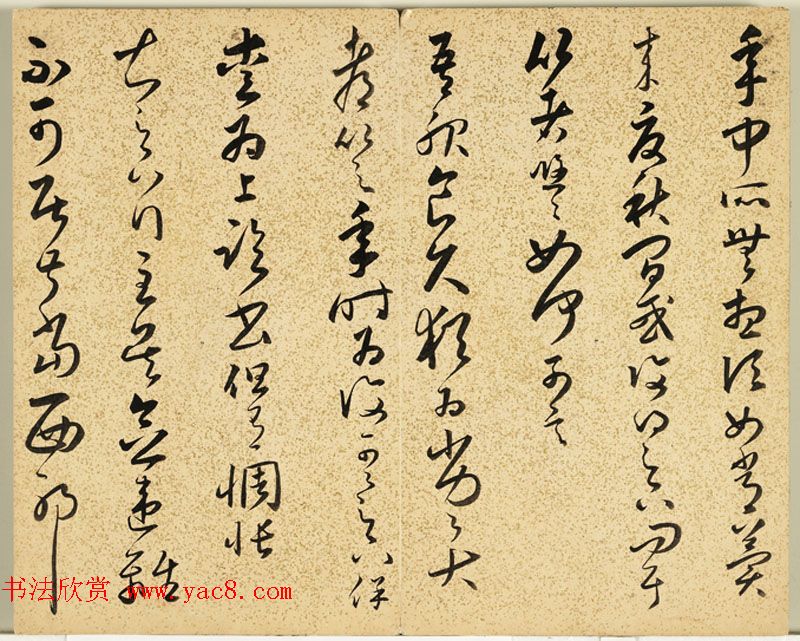 明朝朱大有草书册页欣赏《临王右军十七帖册》