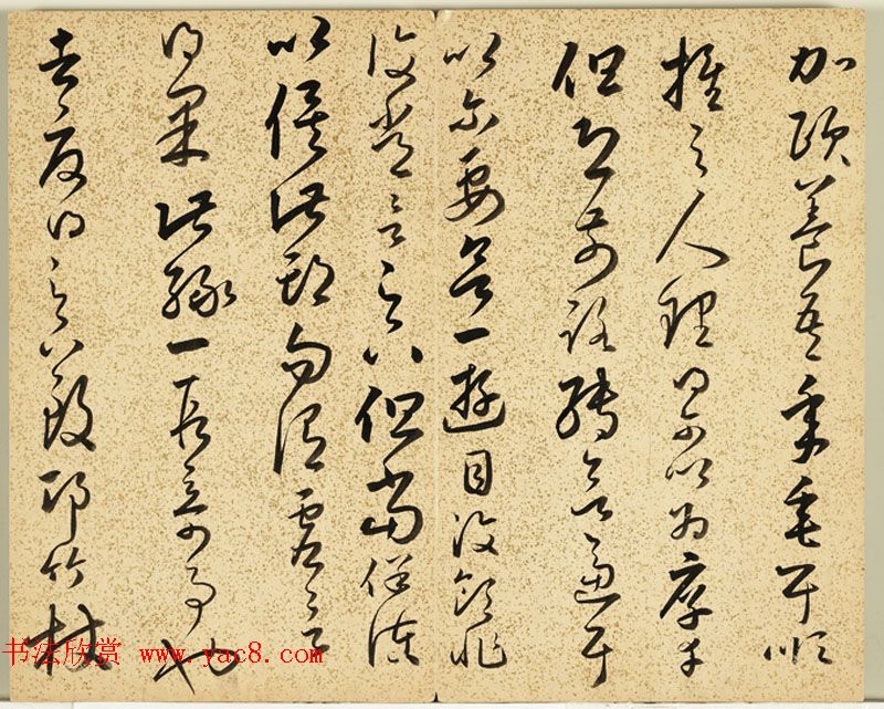 明朝朱大有草书册页欣赏《临王右军十七帖册》