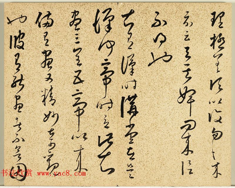 明朝朱大有草书册页欣赏《临王右军十七帖册》