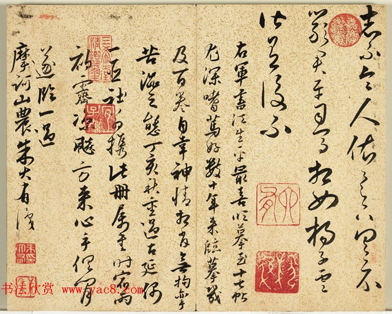 明朝朱大有草书册页欣赏《临王右军十七帖册》