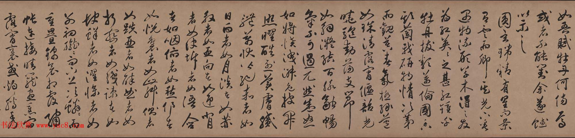 祝允明行草书法长卷欣赏《牡丹赋》