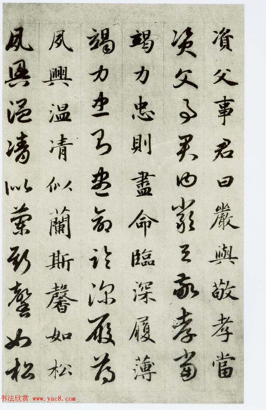 中国碑帖经典《赵孟頫真草千字文》