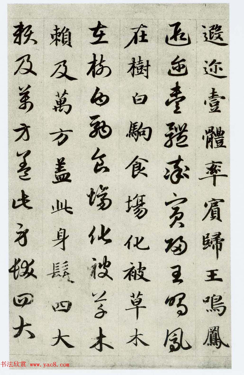 中国碑帖经典《赵孟頫真草千字文》