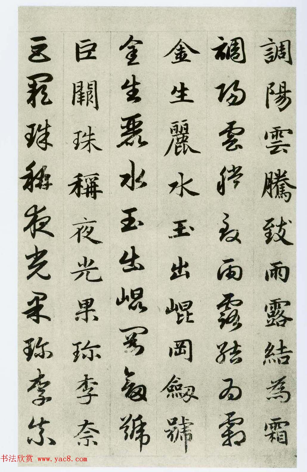 中国碑帖经典《赵孟頫真草千字文》