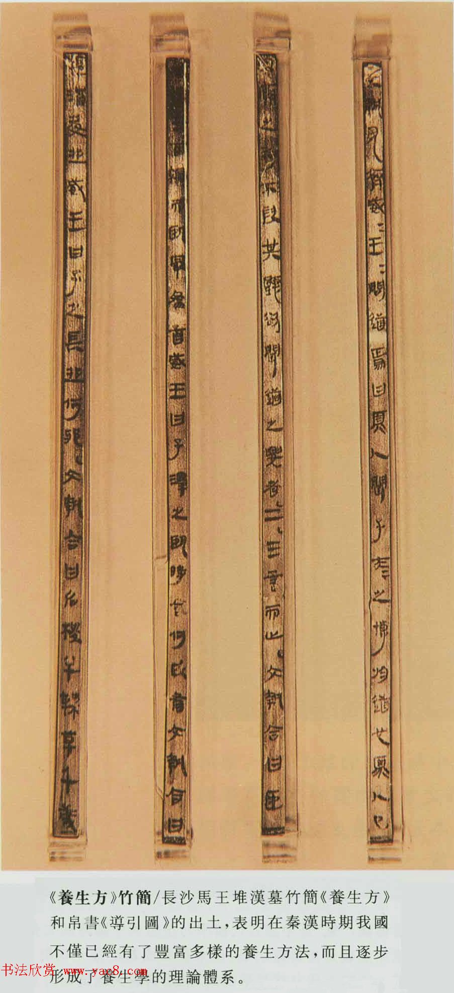 马王堆汉墓遣册养生方竹简欣赏