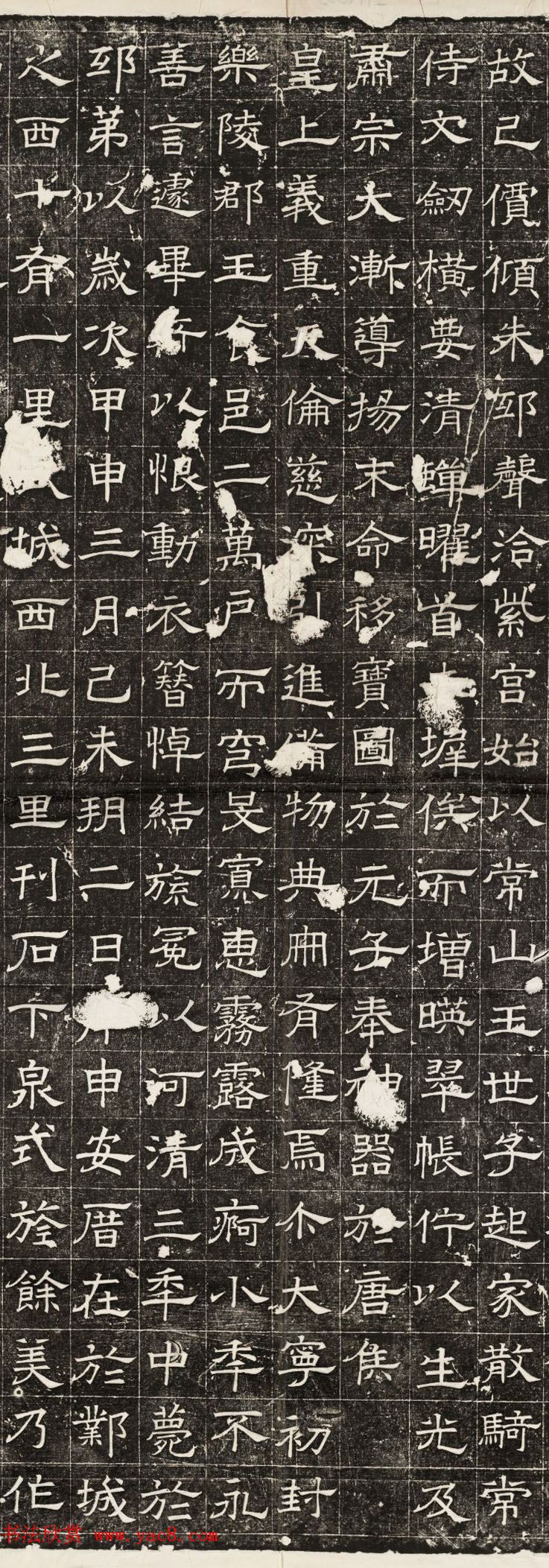 北齐隶书拓片欣赏《高百年墓志并盖》