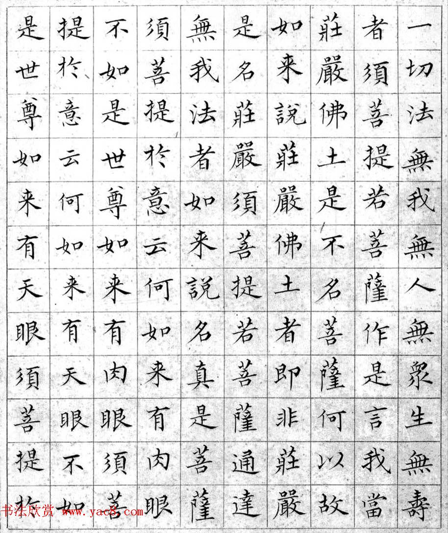 溥儒小楷书法欣赏《金刚般若波罗密经》