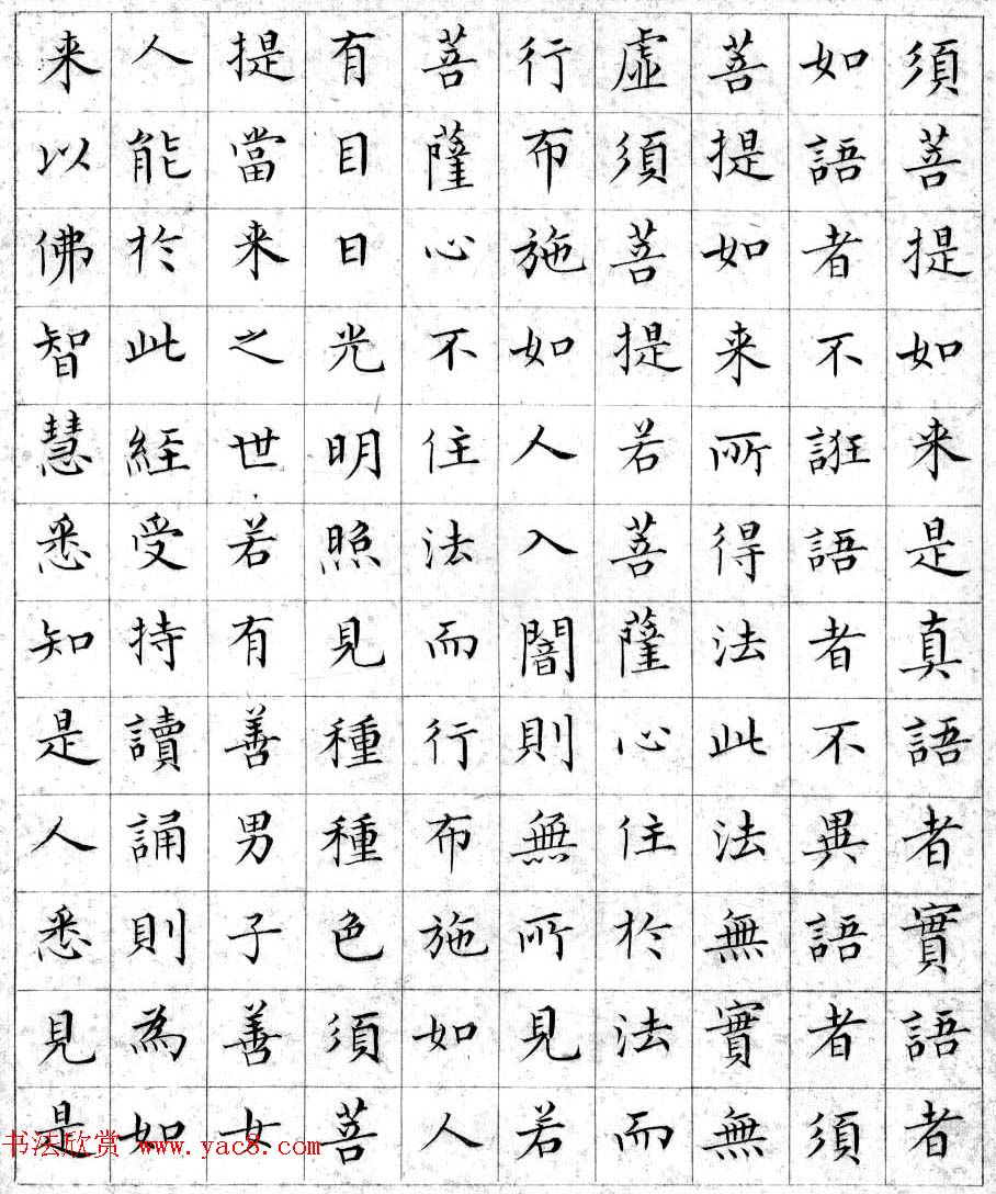 溥儒小楷书法欣赏《金刚般若波罗密经》