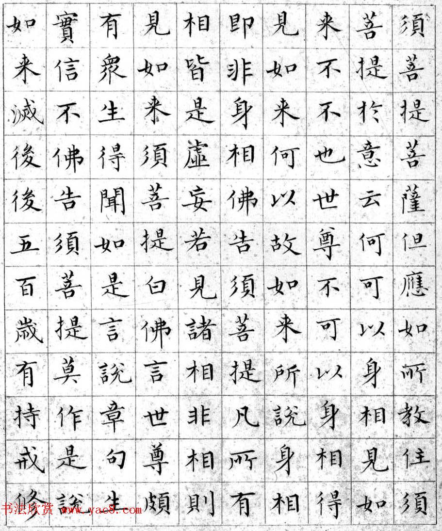 溥儒小楷书法欣赏《金刚般若波罗密经》