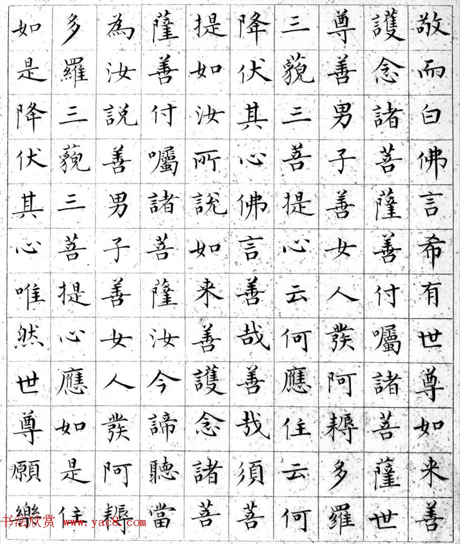 溥儒小楷书法欣赏《金刚般若波罗密经》