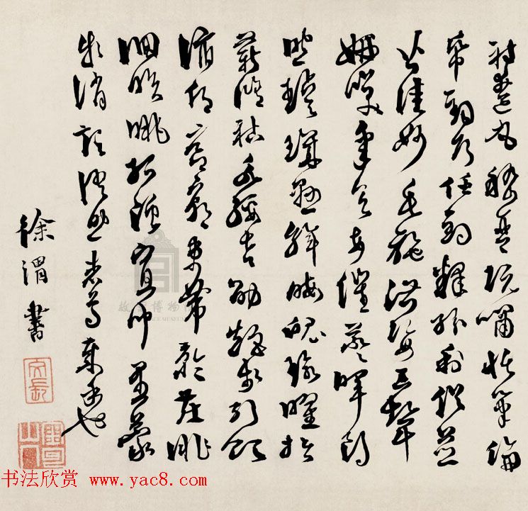 明代徐文长书法赏析《草书千字文卷》 明代徐文长书法赏析《草书千字文卷》