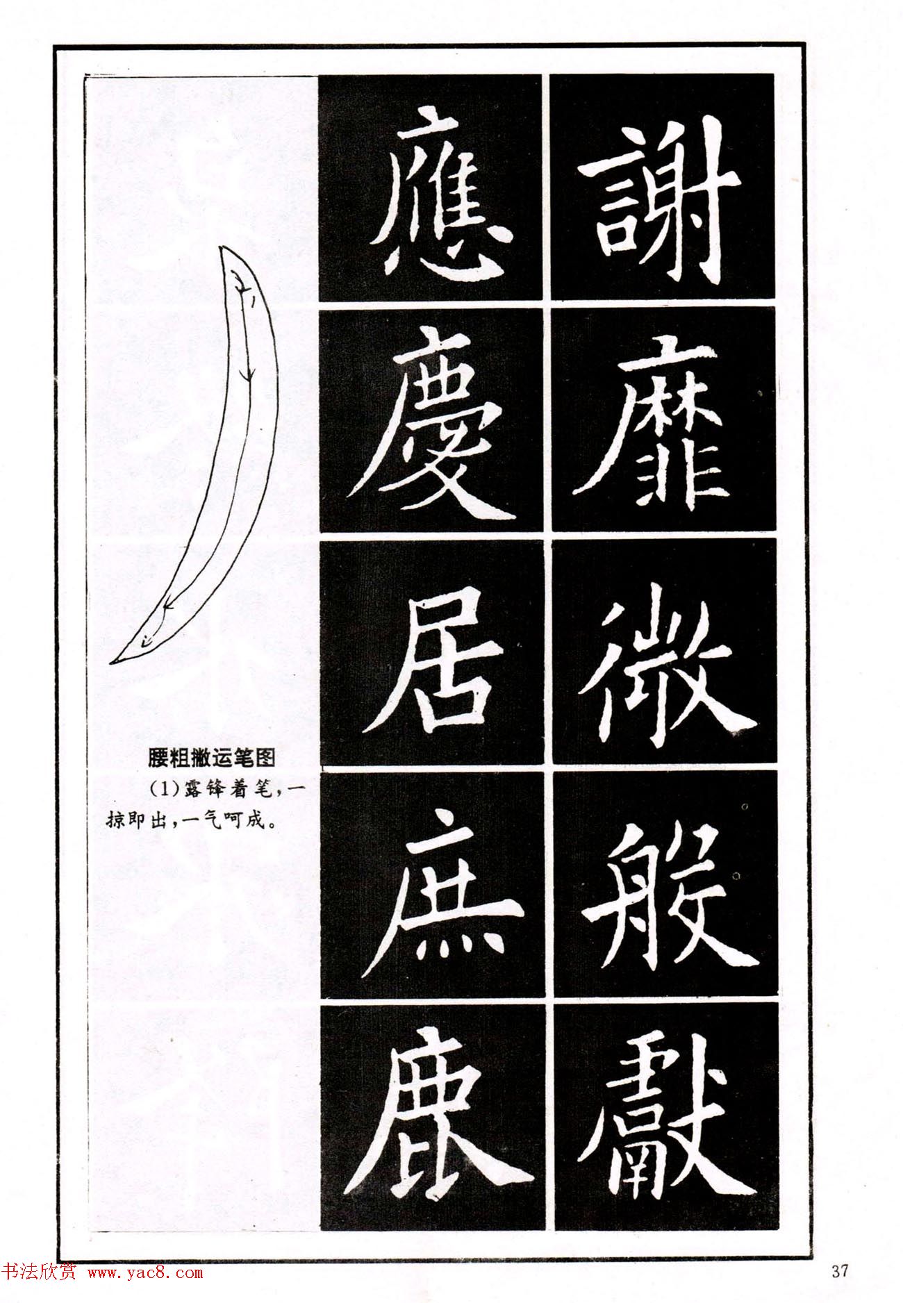 中小学生书法教材：楷书入门永字八法习字帖