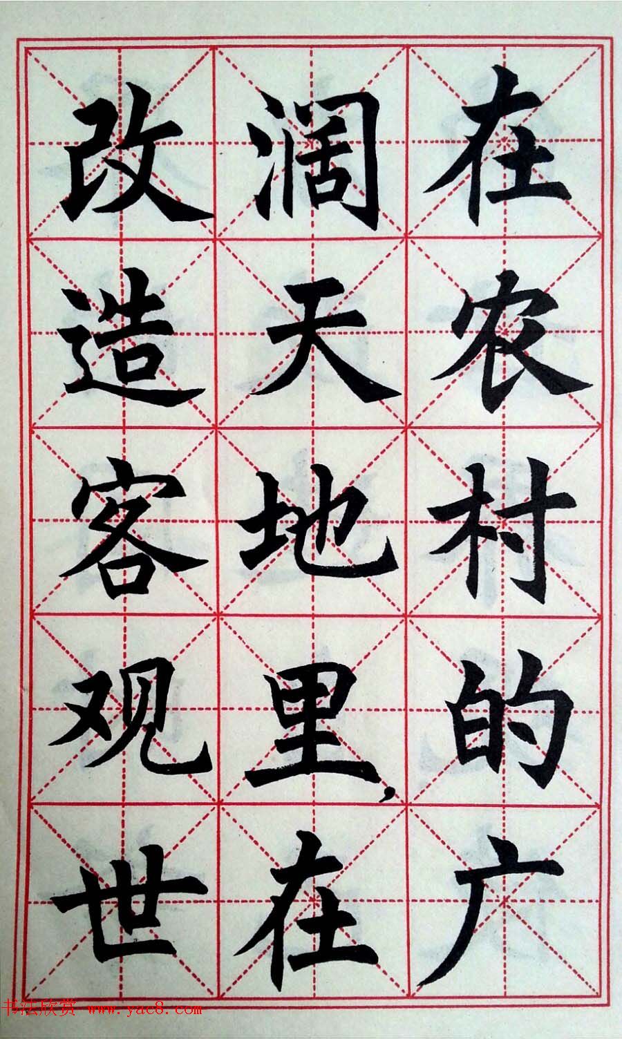 孙信德中楷字帖《金训华同志日记摘抄》