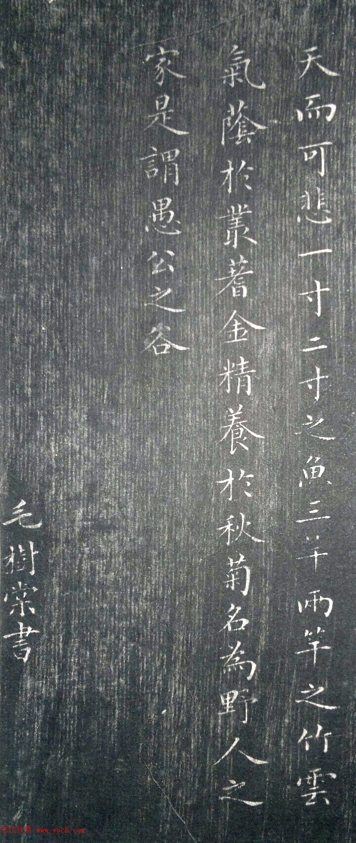 清代毛树棠小楷书法欣赏《小园赋》