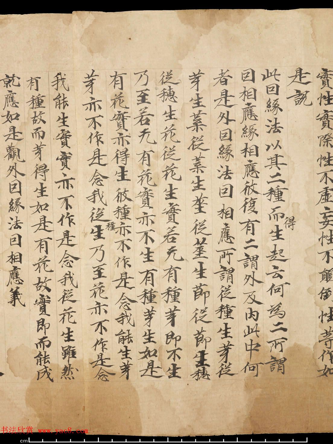 敦煌墨迹《佛说大乘稻秆经》