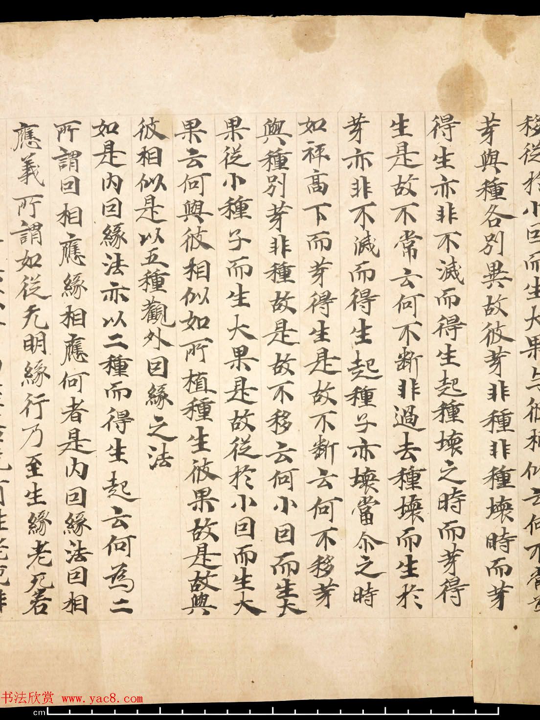 敦煌墨迹《佛说大乘稻秆经》