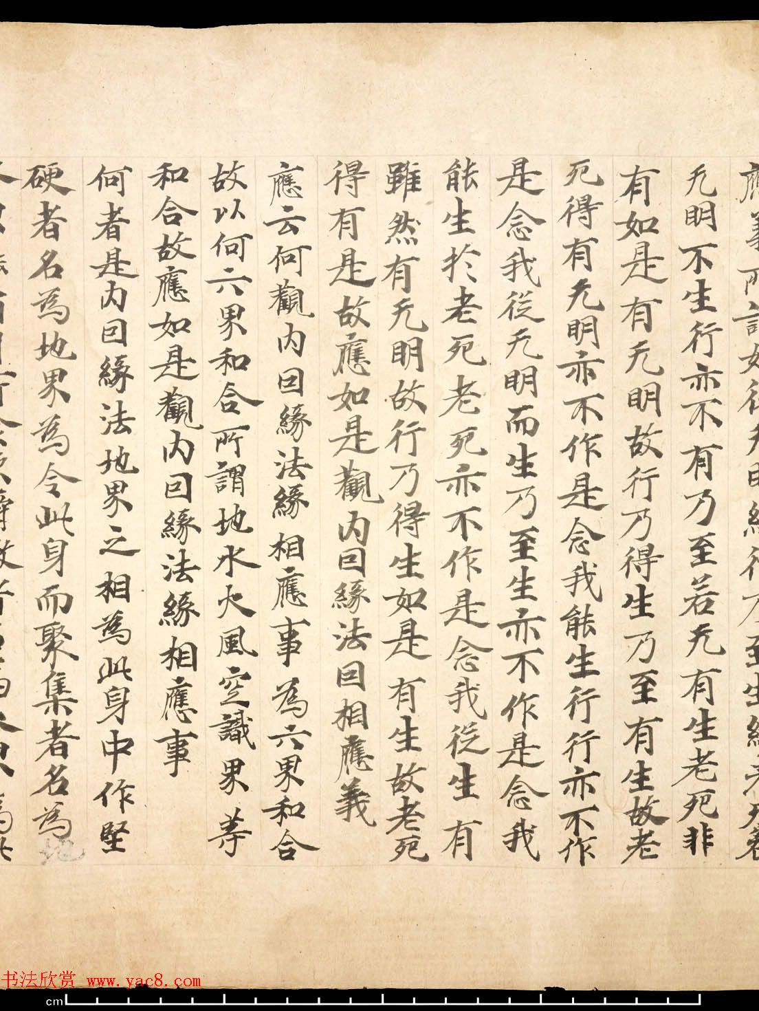 敦煌墨迹《佛说大乘稻秆经》