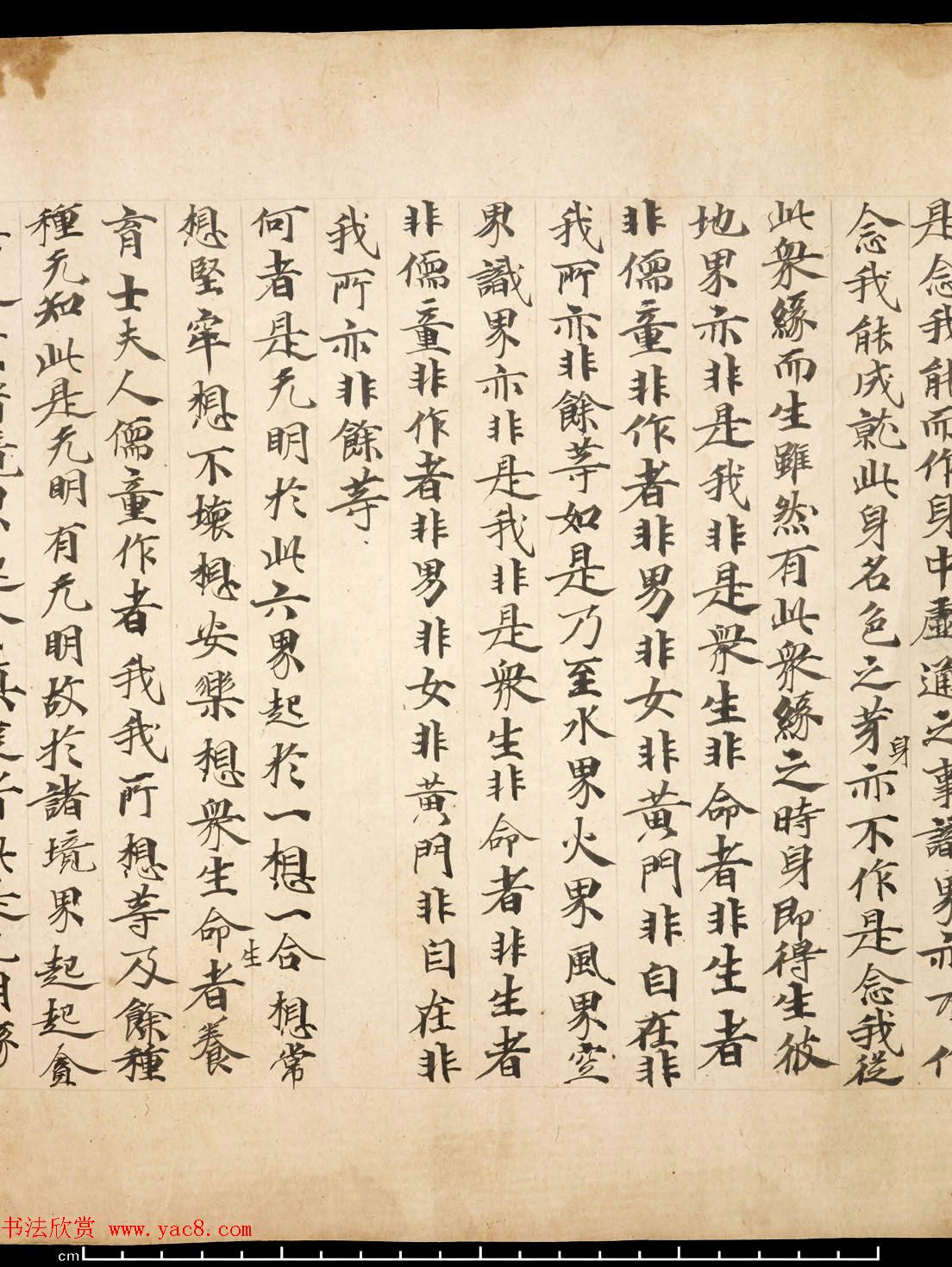 敦煌墨迹《佛说大乘稻秆经》