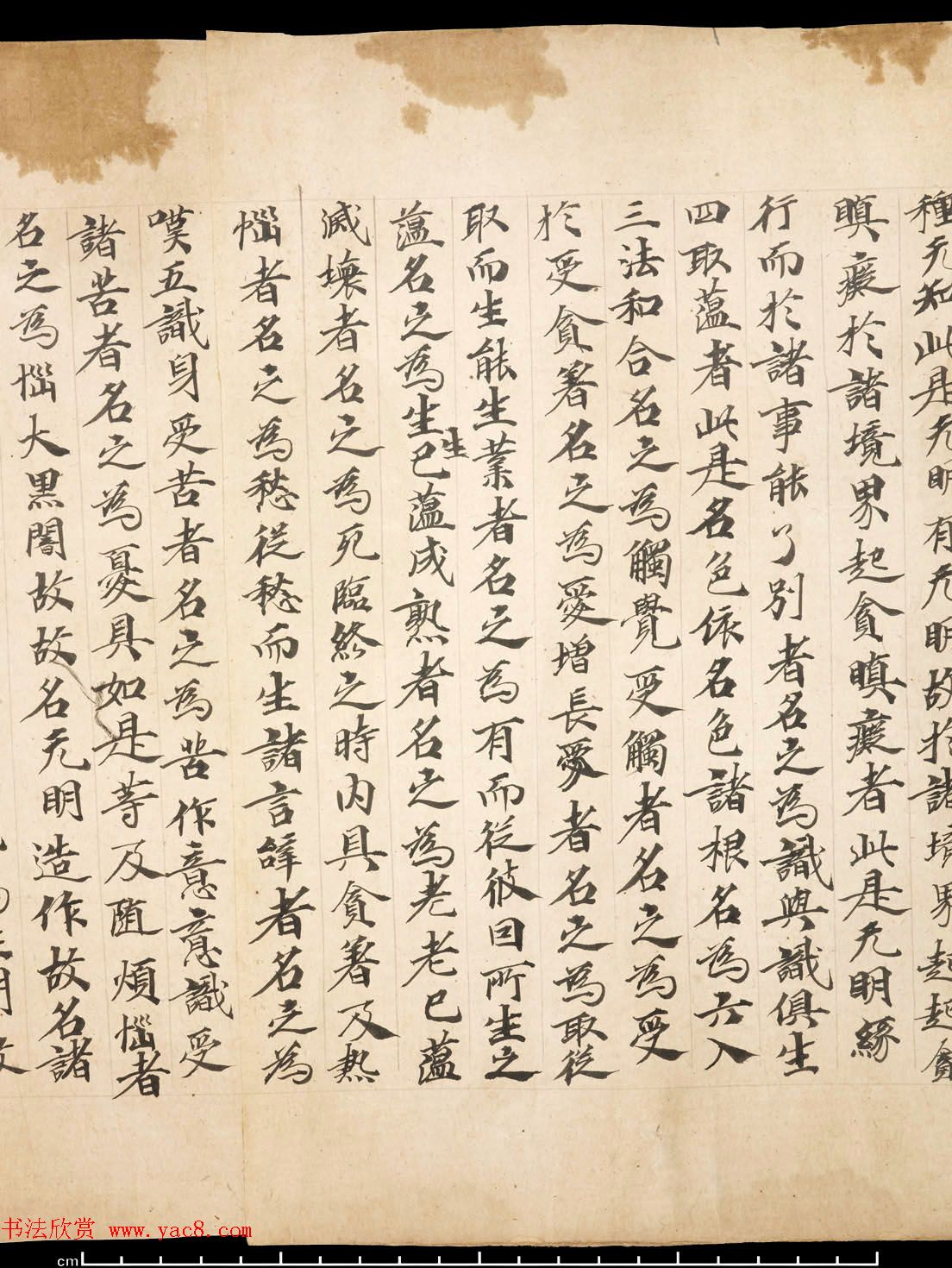 敦煌墨迹《佛说大乘稻秆经》