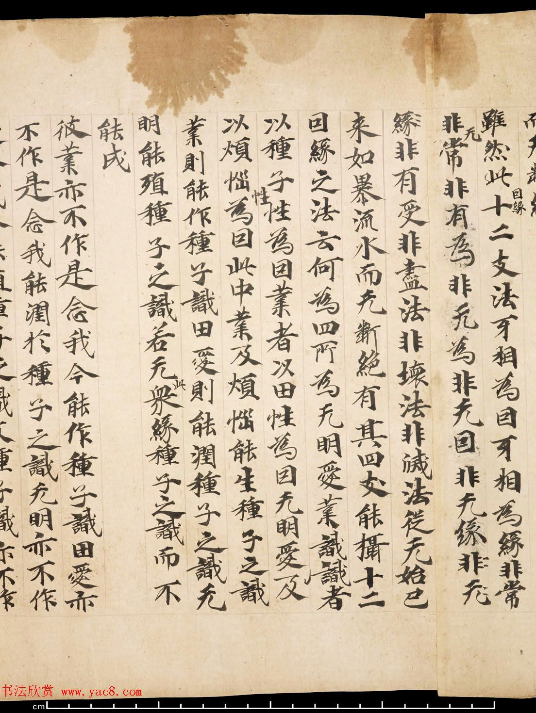 敦煌墨迹《佛说大乘稻秆经》