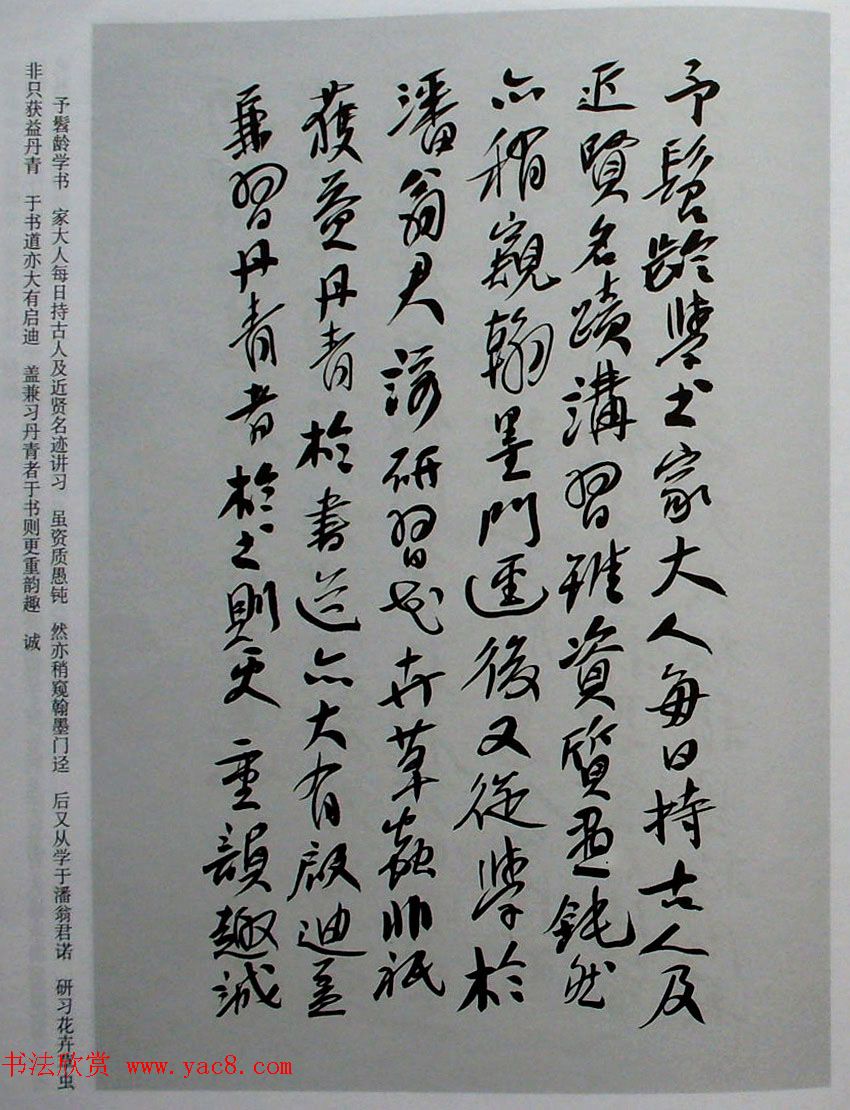 陈振濂书郑板桥兰竹诗十四首附跋