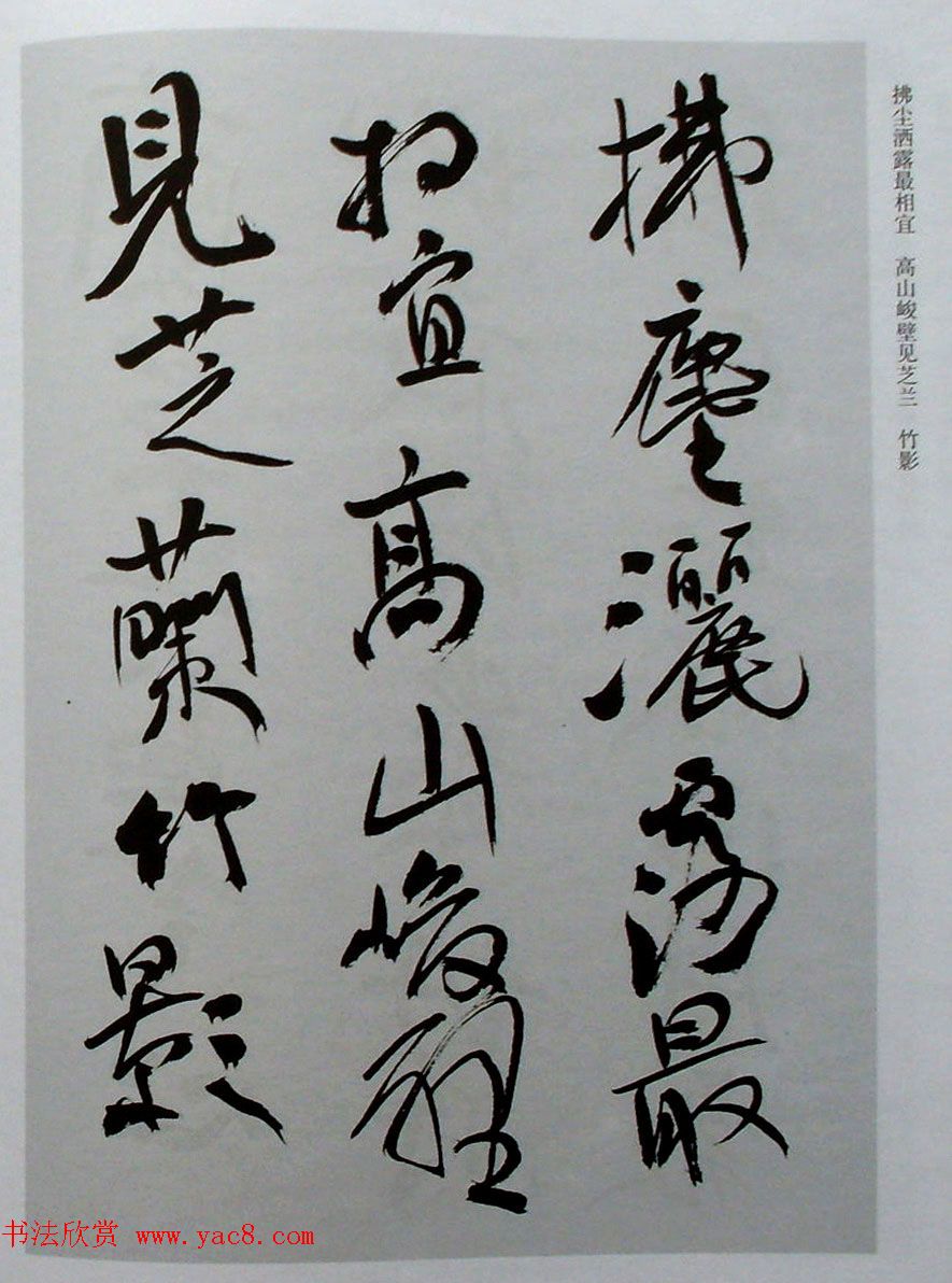 陈振濂书郑板桥兰竹诗十四首附跋