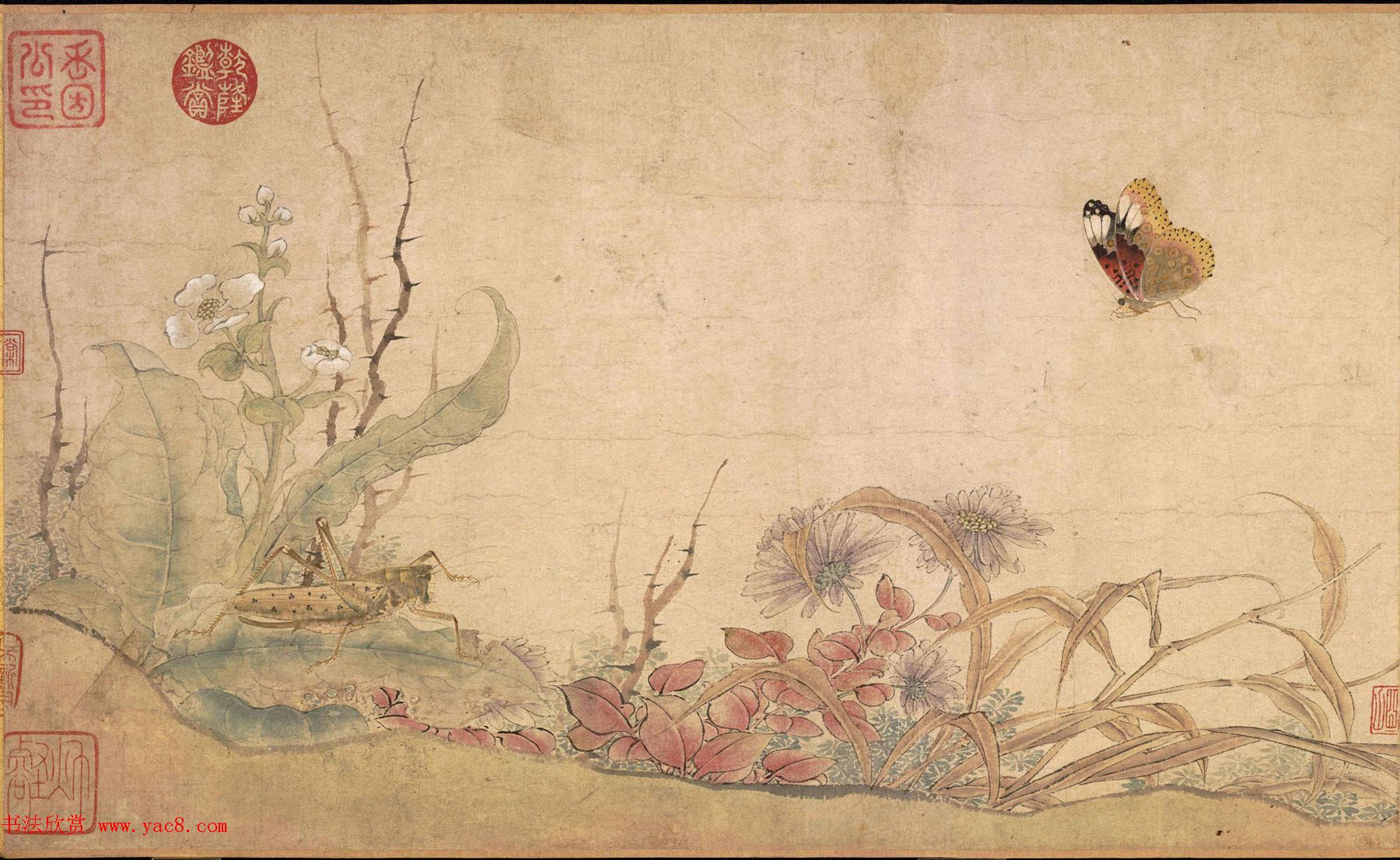 北宋宫廷画家赵昌绘画赏析《写生蛱蝶图卷》