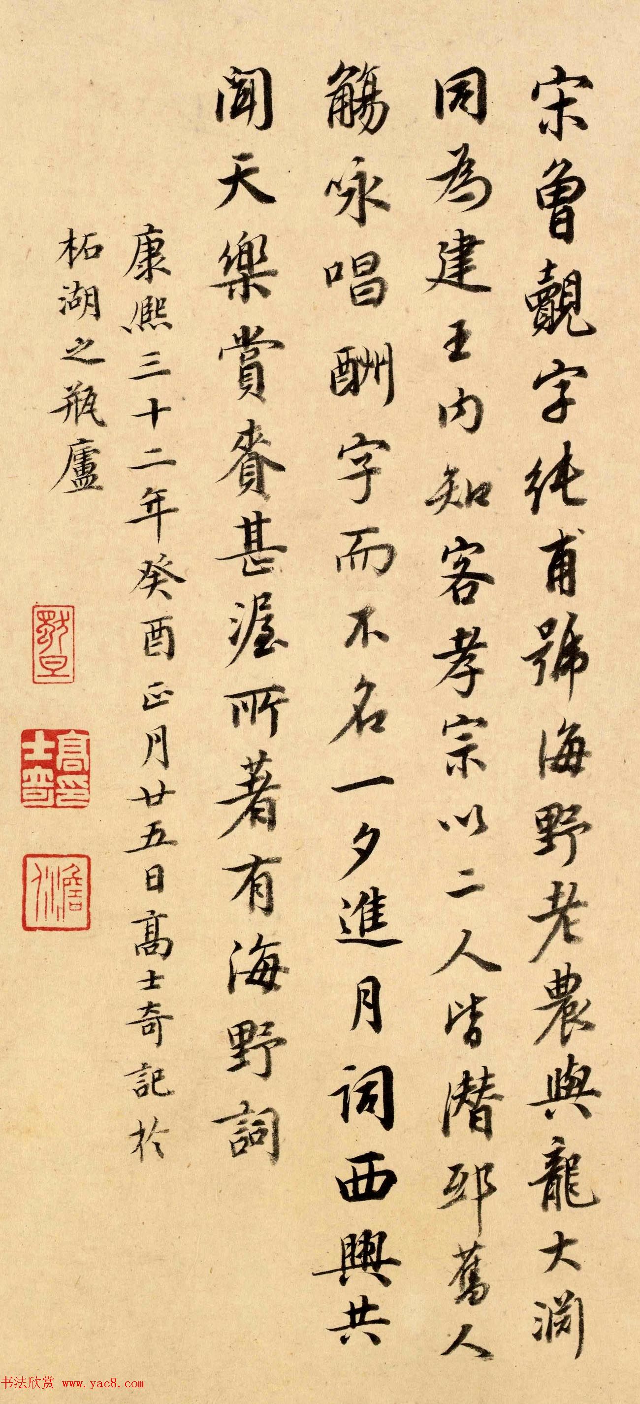 高士奇书法题跋欣赏《跋杨无咎雪梅图卷》