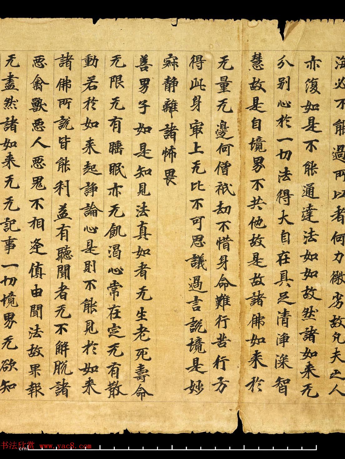 敦煌精美书法《金光明最胜王经卷第二》国图藏