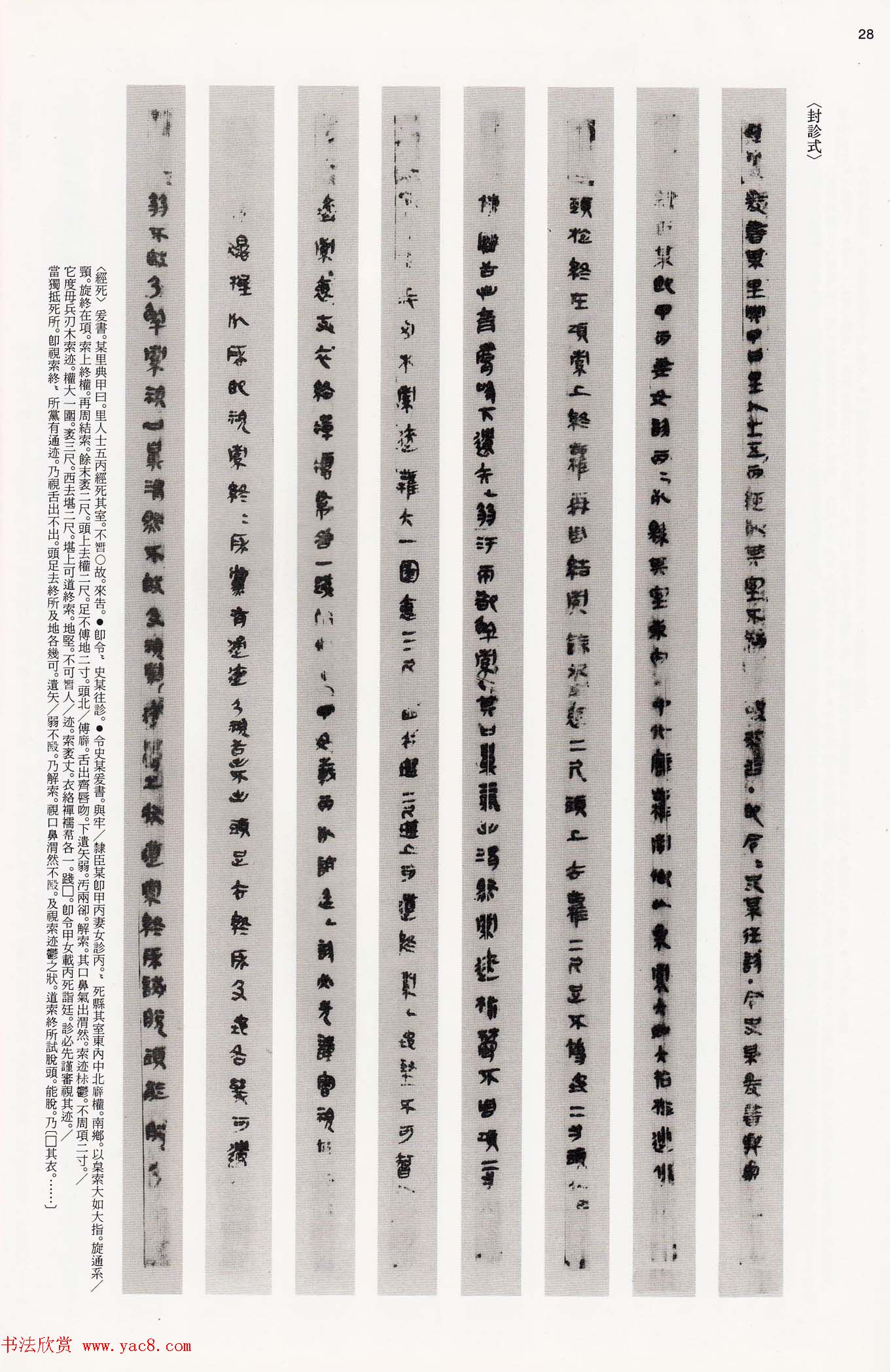 二玄社中国法书选《木简·竹简·帛书》