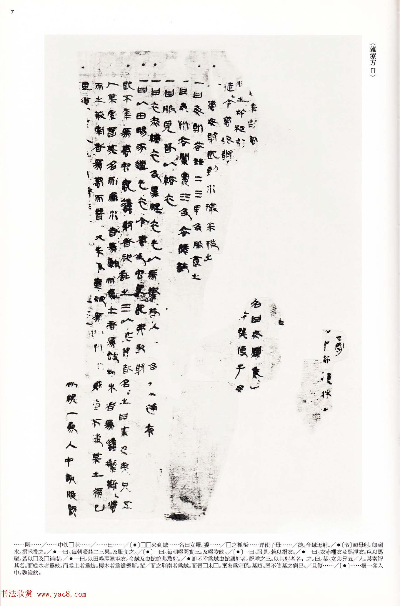 二玄社中国法书选《木简·竹简·帛书》