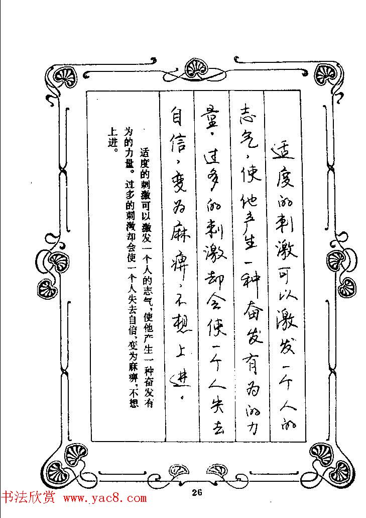 赵忱硬笔书法字帖《罗兰小语钢笔书法》